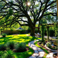 Achieving Harmony: Balancing Sun and Shade in Your Ornamental Garden