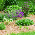 Transform Your Garden with Expert Mulching in Loudoun County