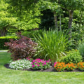 Exploring Common Plants for Ornamental Gardening