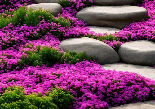 Exploring Popular Groundcovers for Ornamental Gardening