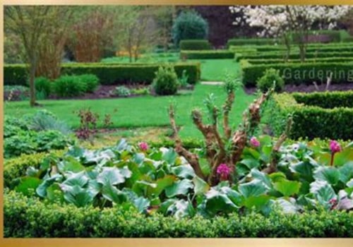 Exploring the Benefits of Ornamental Gardening for Your Home and Well-Being