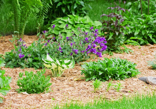 Transform Your Garden with Expert Mulching in Loudoun County