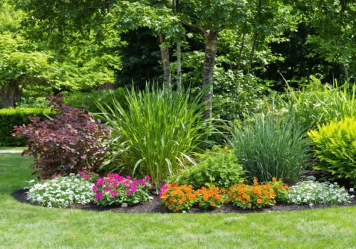 Exploring Common Plants for Ornamental Gardening
