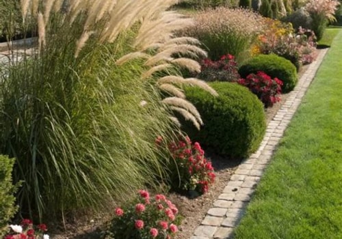 Creating Stunning Focal Points in Your Ornamental Garden