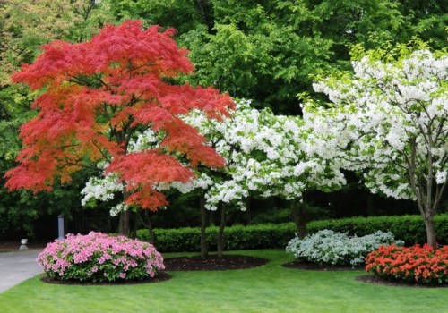 Exploring Popular Trees for Ornamental Gardening